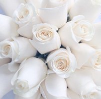 Левчик Ксения - Белые розы (детское исполнение)